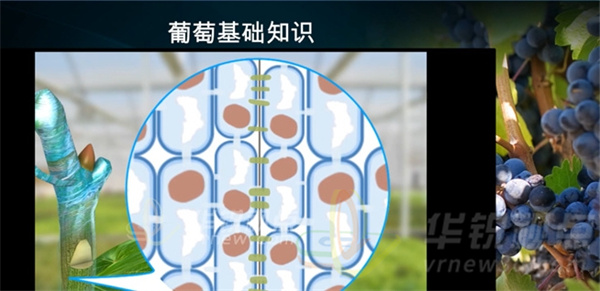 VR课件编辑器,虚拟仿真培训系统