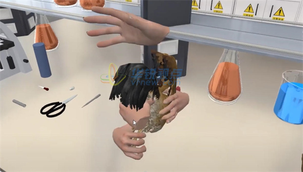 深圳华锐视点,VR鸡临床病死病禽解剖虚拟仿真实验系统,3D虚拟仿真内容制作