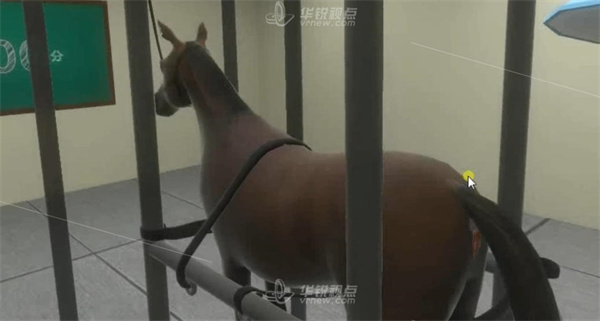马直肠检查虚拟仿真VR实训系统,虚拟现实,VR技术
