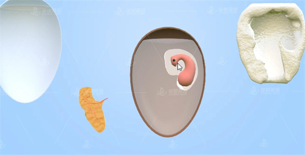 VR医学虚拟仿真技术,虚拟现实（VR）,VR技术