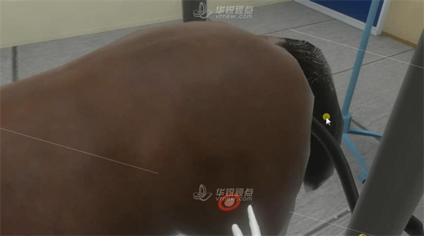 VR马直肠检查虚拟仿真实验,虚拟现实,VR技术