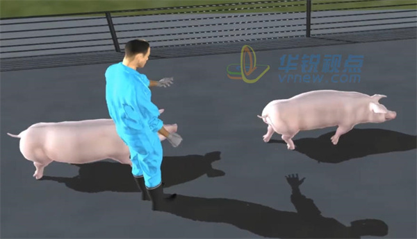 VR生猪屠宰虚拟仿真培训,沉浸式虚拟培训,VR技术