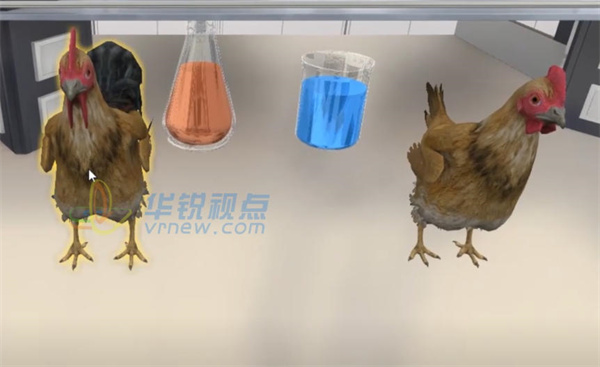 鸡养殖VR虚拟实训系统,VR技术,虚拟环境