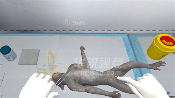 猴VR解剖仿真实验系统,高精度3D建模技术,三维建模技术