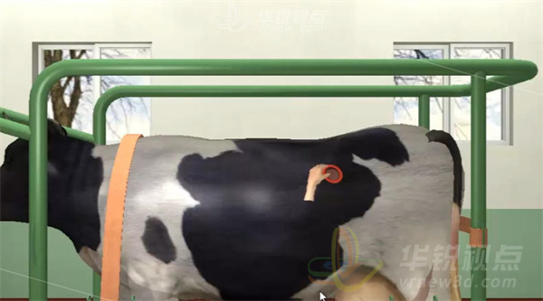 牛瘤胃穿刺虚拟仿真VR实训系统,VR内容制作公司,虚拟现实技术