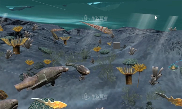 脊椎动物起源与演化VR虚拟仿真系统,虚拟现实,VR技术