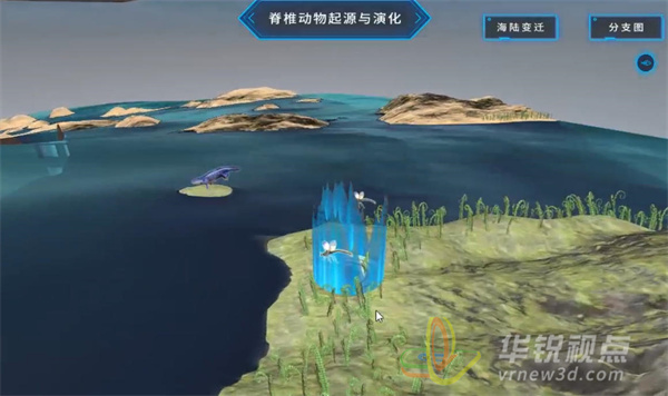 脊椎动物起源与演化VR虚拟仿真系统,VR内容制作公司,虚拟现实