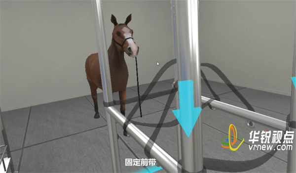 马直肠检查虚拟仿真VR实训系统,虚拟现实,VR技术
