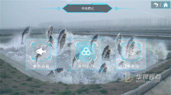 VR淡水鱼养殖系统,虚拟现实,VR技术