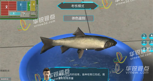 VR淡水鱼养殖系统,VR技术,沉浸式体验