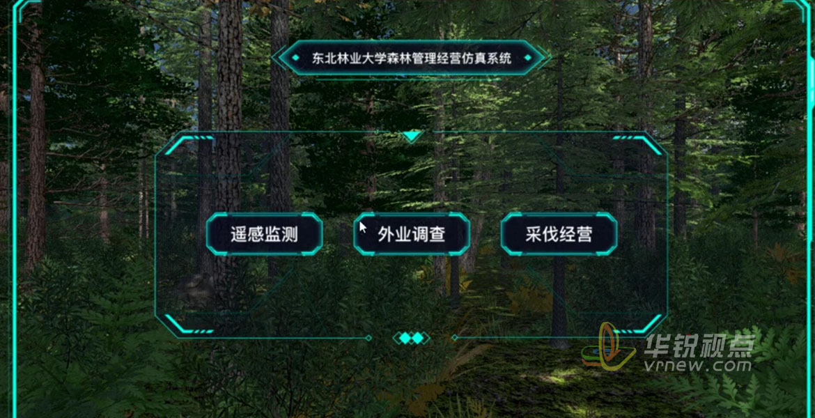 东北林大